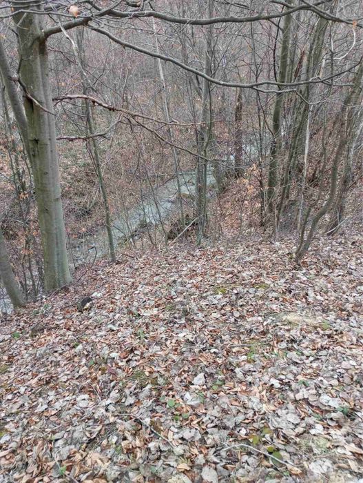 Земельна ділянка в Карпатах з будинком. Село Орів, Трускавецька ОТГ. Ціна 485$ за сотку.