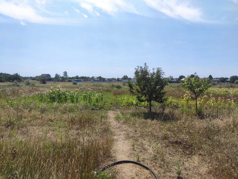 Продам будинок у смт. Обухівка, ділянка 33 сотки