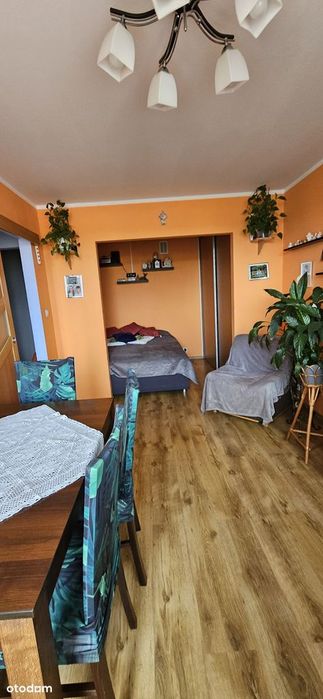 Mieszkanie – Knurów, Osiedle 1000-lecia, powiat gliwicki - Widok 2