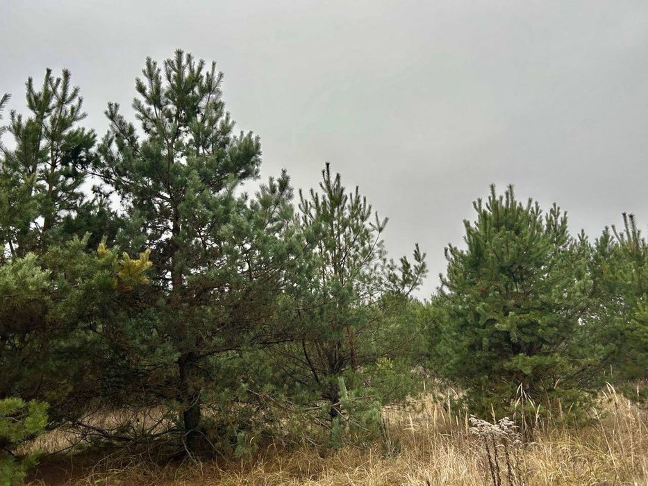 Земельна ділянка 8 Га! Ясногородка!