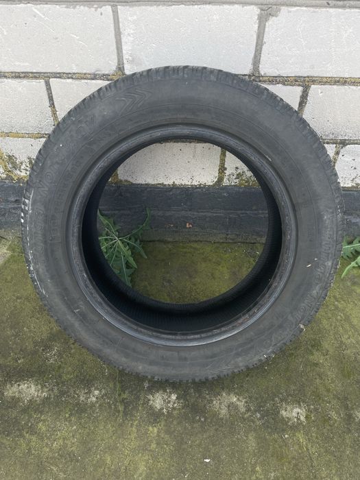 Зимова шина Tunga Nordway 185/55/15