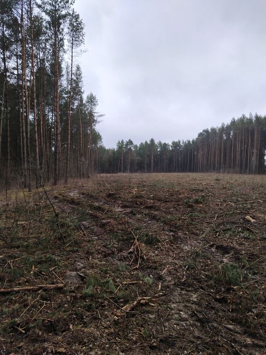 Sprzedam 1 ha  działki  rolnej