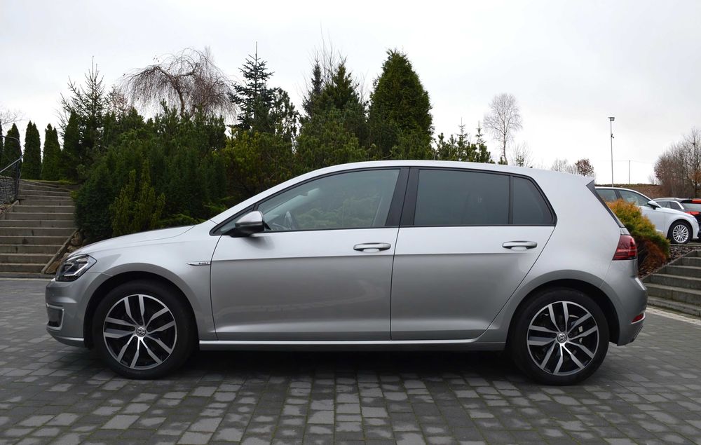 Volkswagen e-Golf      2018