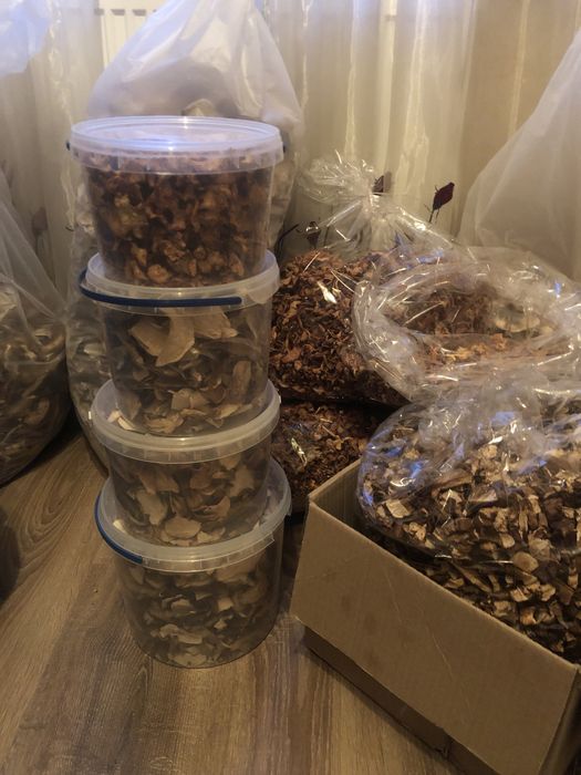 Продам сушені та консервовані гриби