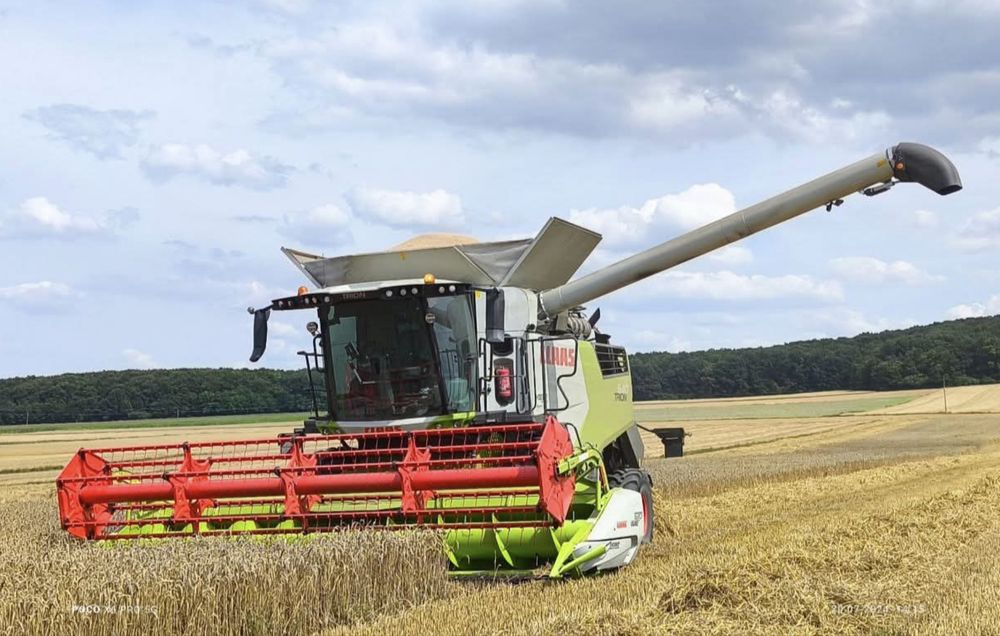 Usługi koszenia zboża ,rzepaku i kukurydzy