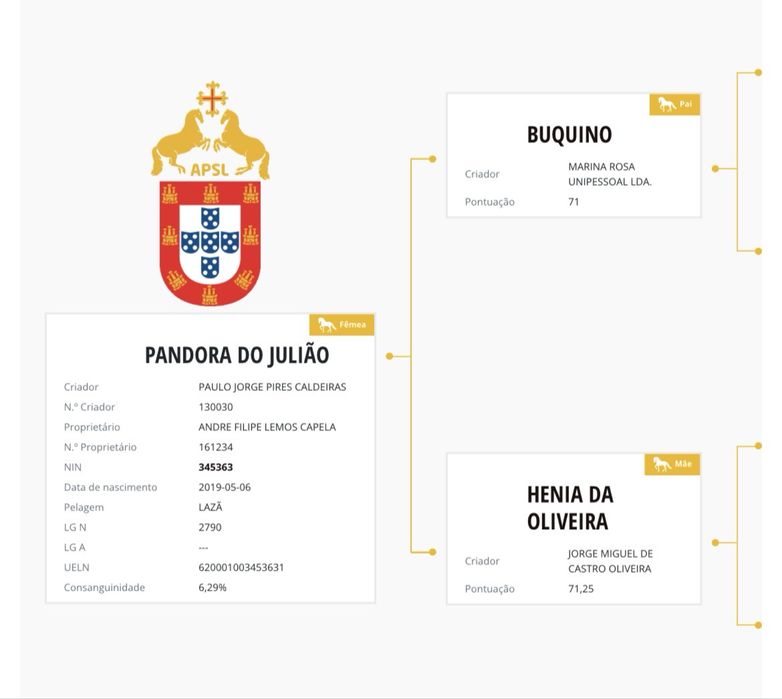 Reprodutora  lusitana 7 anos