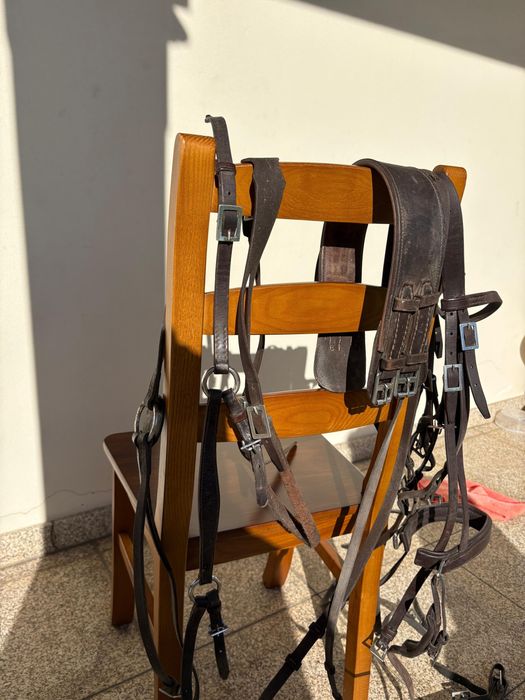 Sela Zaldi Lusitanus 17,5” + Conjunto Completo de Equitação