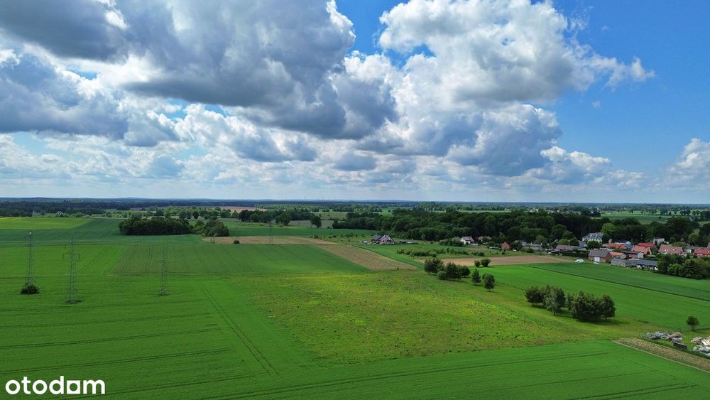 Działki z WZ w Nowych Bielicach 90 zł/ m² - Widok 3