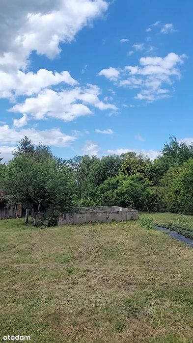 Rezerwacja - Gospodarstwo | 2,30 ha | Rudziczka k. Prudnika