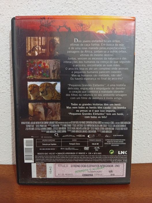 DVD Pequenos Grandes Elefantes
