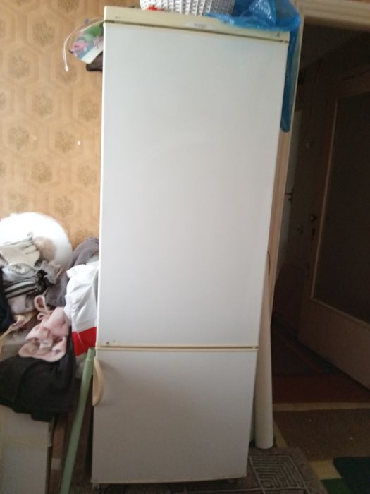 Холодильник  Snaige