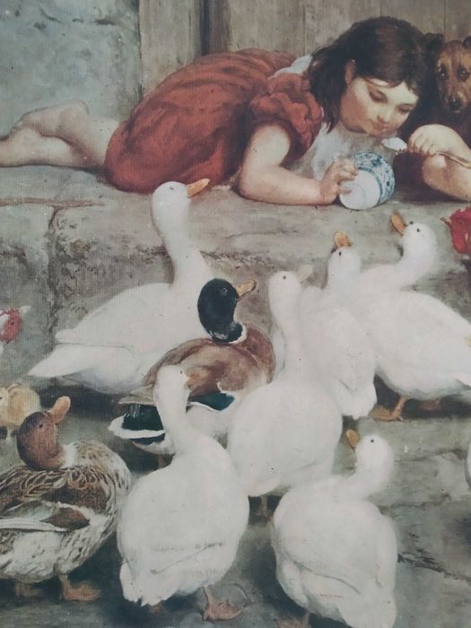 Quadro natureza morta e postais antigos de Lisboa