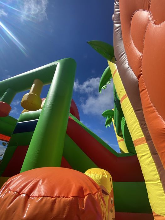 Insuflavel leão - venda