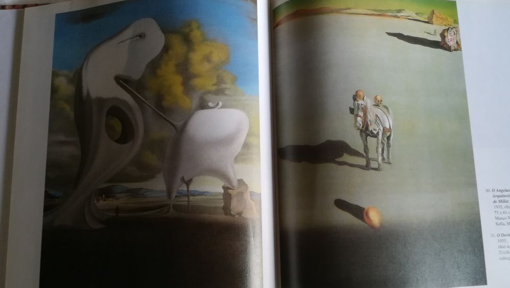 Toulouse Lautrec + Salvador Dali , livros