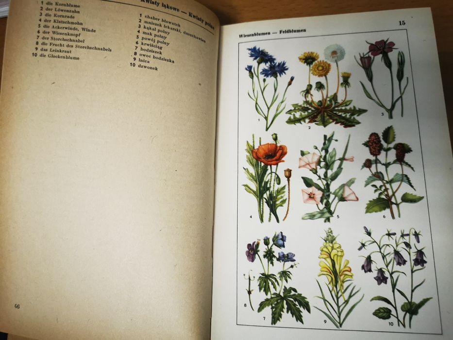 Bildwoerterbuch niemiecki germanistyka slownik obrazkowy