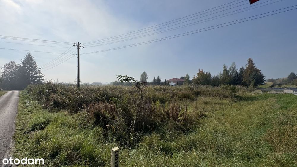 Działka Usługowa 54 Ary | Złota - Widok 2