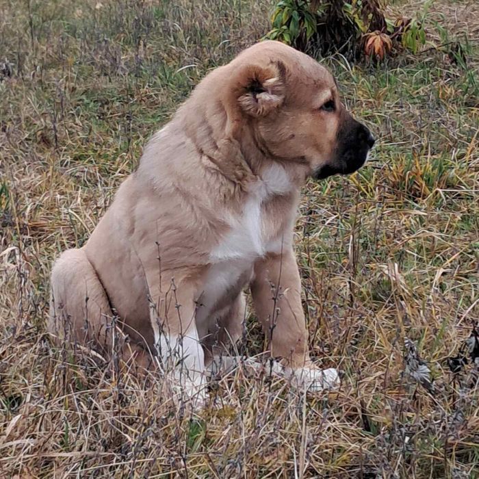 Дівчинка чекае батьків
