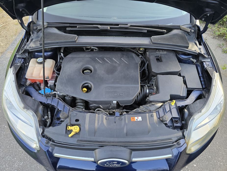 Ford Focus 1.6 TDCI 115cv Nacional