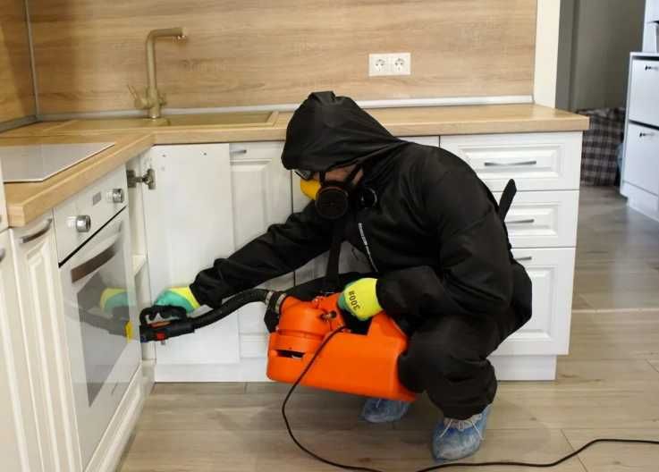 Знищення тарганів, дезінсекція дезінфекція з гарантією результата