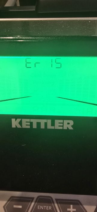 Беговая дорожка Kettler, турник, брусья, лавка, шведская стенка.