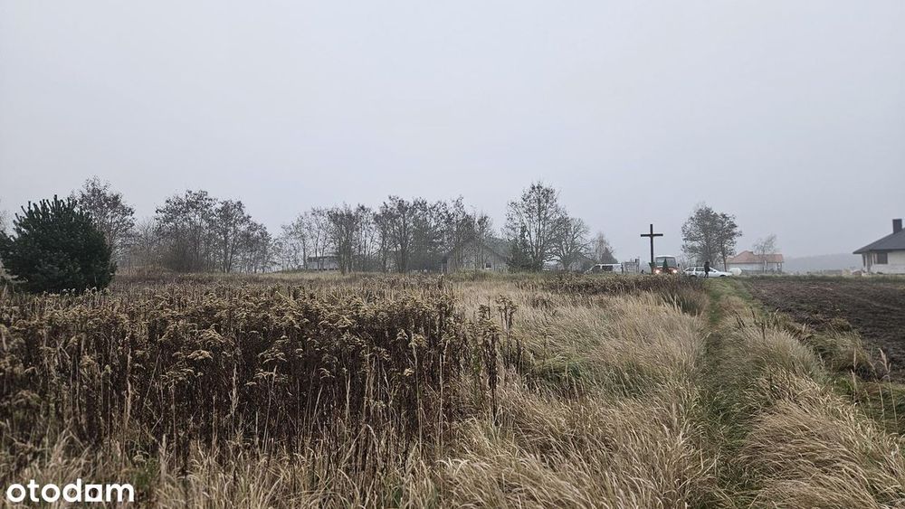 Działka o powierzchni 16800 m2