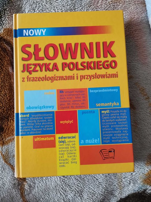 Słownik języka polskiego