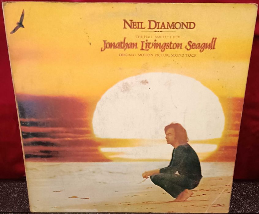 Grandes nomes da musica Pop em Vinil LPs