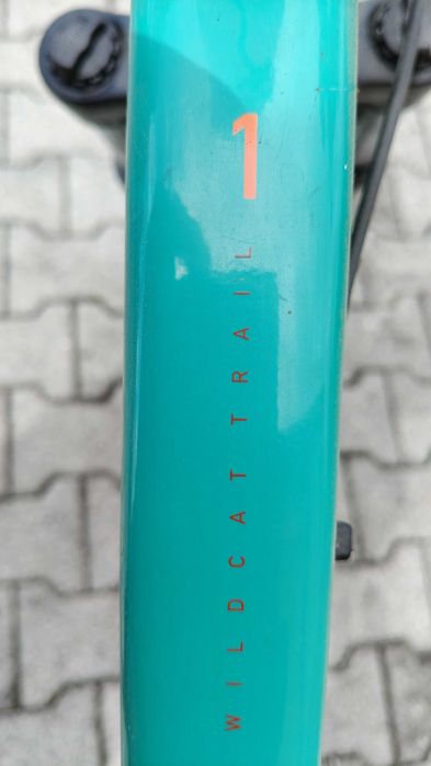 Rower Marin wildcat trail 1