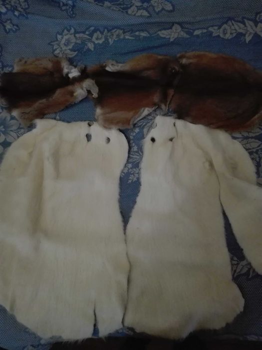 Хутро нутрії та ондатри.