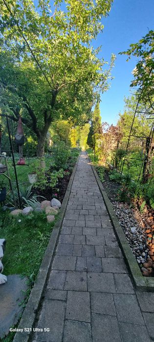 Działka ROD Malborska