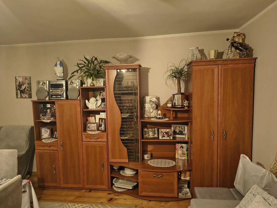 Mebliścianka do salonu