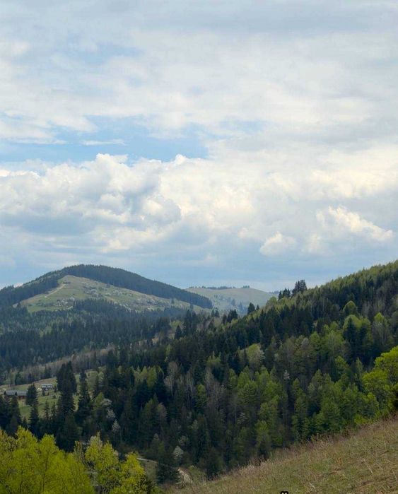 Фото ділянки