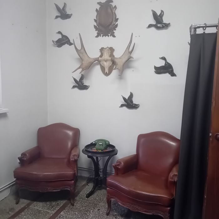 XX w Kaczki z Porcelany do Powieszenia na Ścianę Cudo !!!