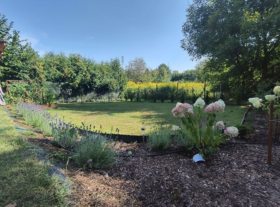 Działka ogródek ROD [ 380 m2 z altaną]