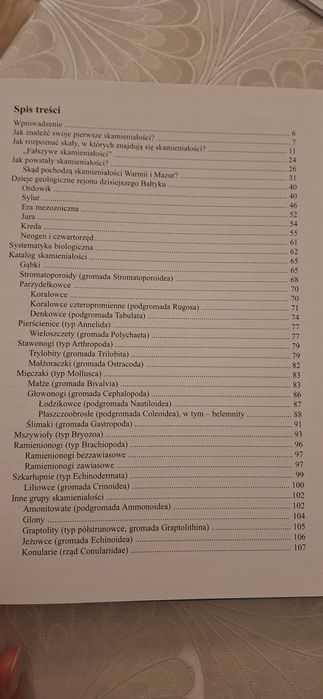 Skamieniałości Warmii I Mazur