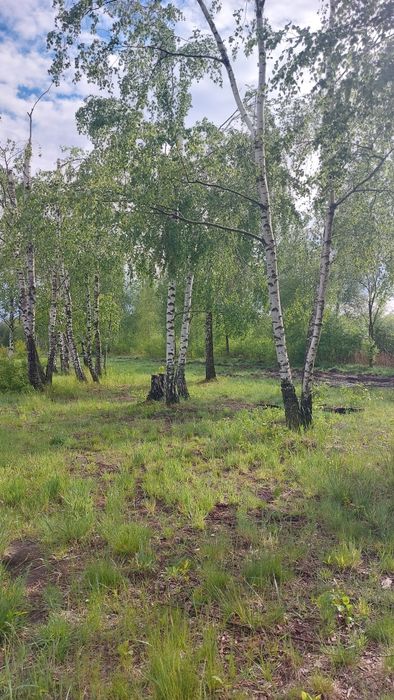 Działka budowlana 8 arów (800m2) Nowa Dęba, media na działce