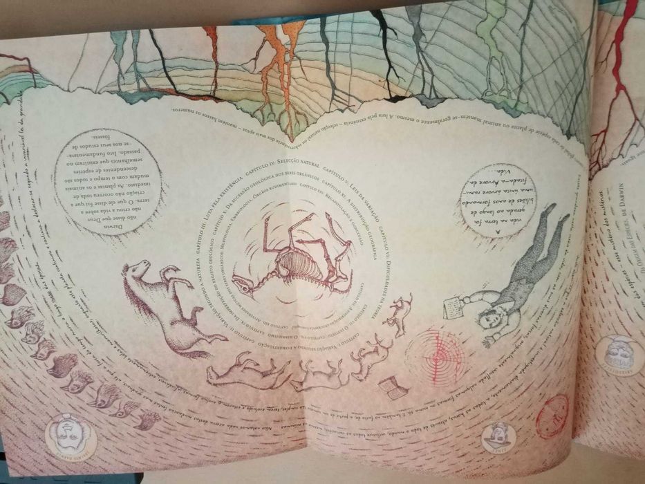 Árvore da Vida - História ilustrada de Charles Darwin