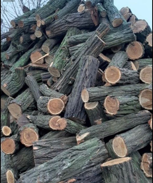 Продам дрова разных пород!Метровки, чурки, колотые! Доставка бесплатно