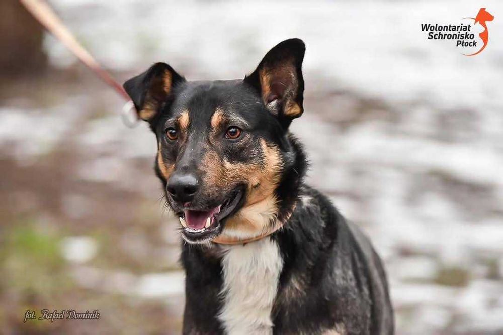 Gary szuka kochającego domu