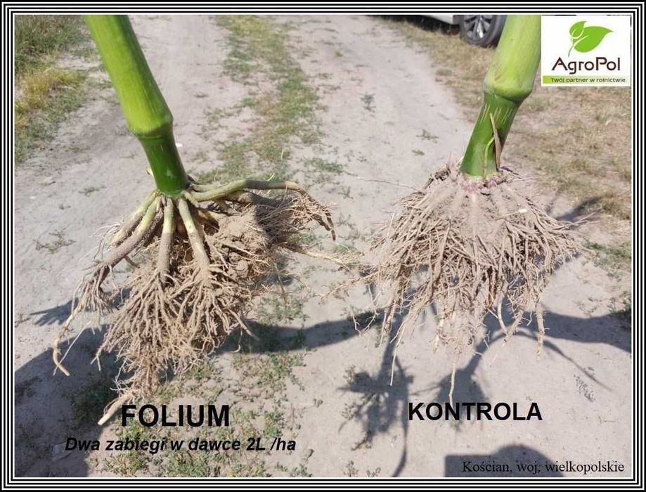 Agro-Sorb FOLIUM 20L Aminokwas Biostymulator Odżywka Nawóz
