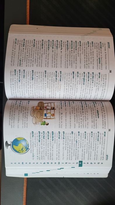 Dicionário de 1°Ciclo muito bem estimado