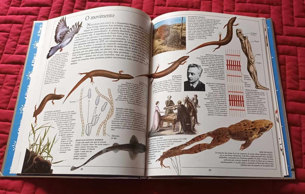 Livro "Vida" - Enciclopédia Visual Ciência