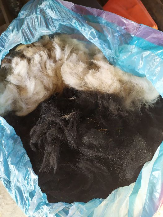 runo alpaki alpak alpaka