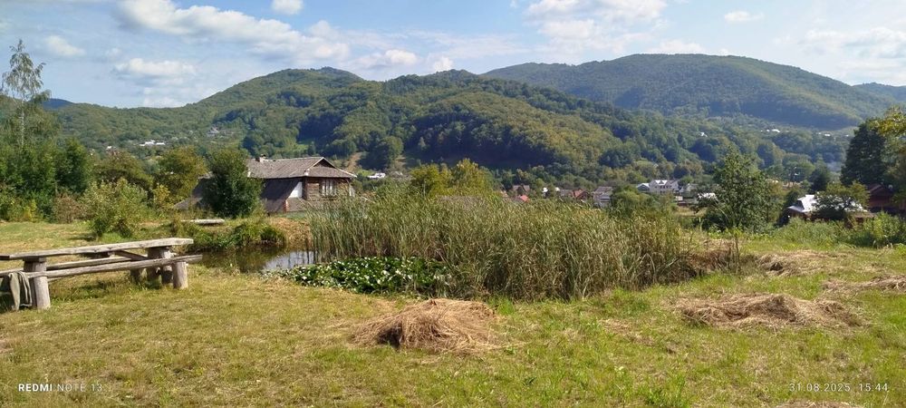 Будинок з ставком у Карпатах