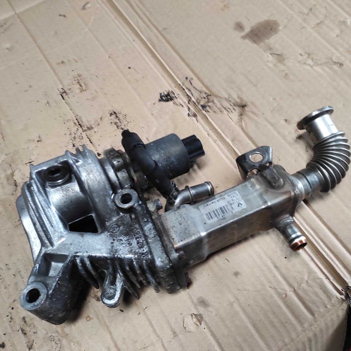 Chłodnica Spalin Zawór EGR Scenic II 1,9 DCI Komplet