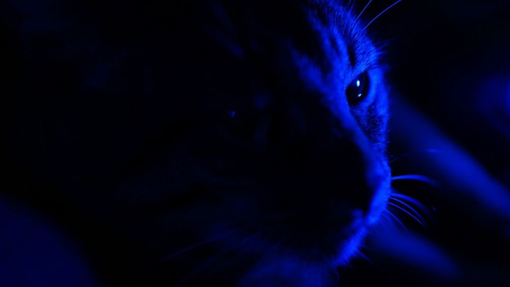 Sit and PLAY! 5€/hr