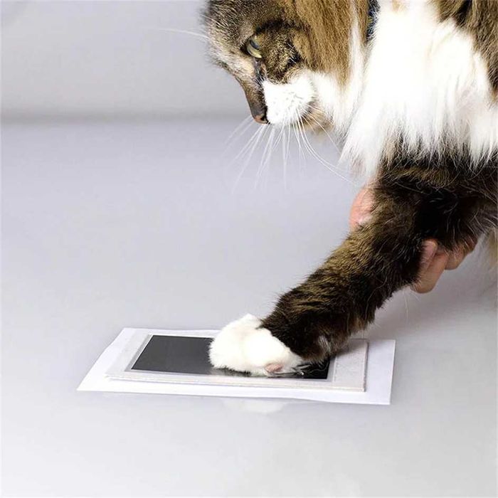 Toques de Infância - Kit de Impressão com Tinta
