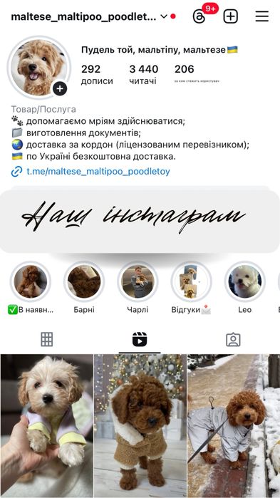 Карамельний малюк з якісною шубкою