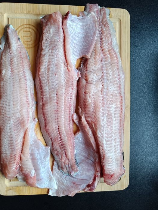 Sum Filet bez ości Wysyłka Gratis