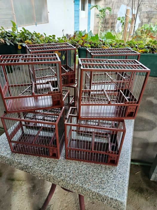 Gaiolas de canto em pvc